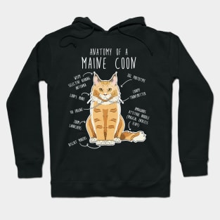 Maine Coon Cat Anatomy Hoodie